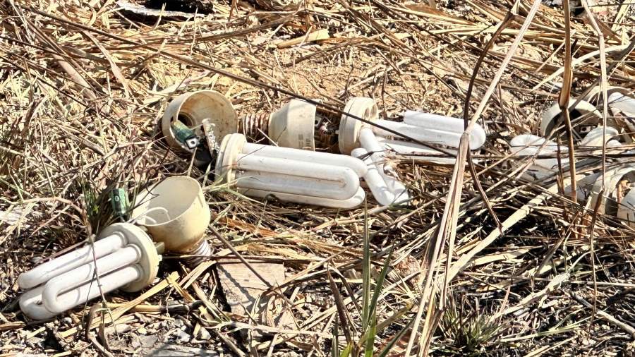 Bóng đèn chong thanh long bị hỏng vứt ven đường ở Hàm Thuận Bắc, Bình Thuận. Ảnh: Duy Tuấn