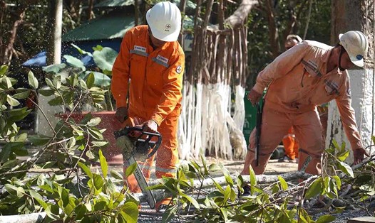 Cắt tỉa cây có nguy cơ gây ảnh hưởng hành lang an toàn lưới điện 110 KV tại xã Long Phước, huyện Long Thành. Ảnh: Hà Anh Chiến
