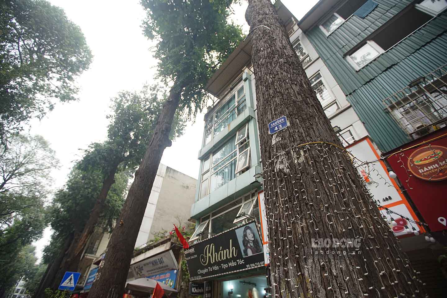 Chủ tịch UBND TP Hà Nội đã giao công an thành phố kiểm tra xác minh làm rõ, trả lời đầy đủ về quy trình chặt hạ cây sao đen và có việc xây nhà mới thì cây chết hay không. Nếu có sai phạm thì phải xử lý nghiêm theo quy định của pháp luật. Việc này được giao hoàn thành trước ngày 10.4