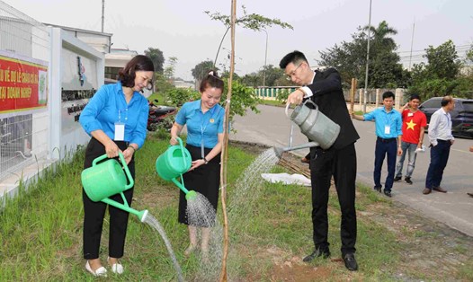 LĐLĐ huyện Vĩnh Bảo và đại diện các doanh nghiệp tham gia trồng cây cải thiện môi trường làm việc. Ảnh: Song Hương