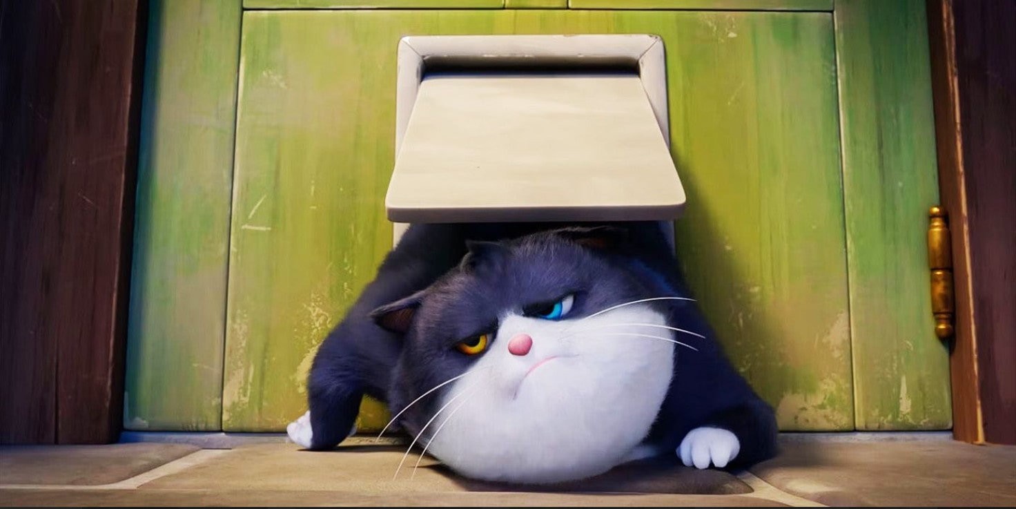 Phân cảnh trong "Mèo mập mang 10 mạng". Ảnh: CGV