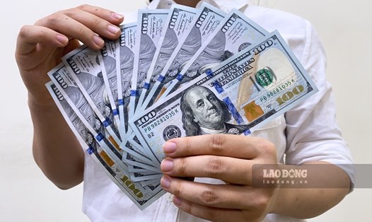 Tỷ giá trung tâm USD/VND được Ngân hàng Nhà nước niêm yết ở mức 24.036 đồng. Ảnh: Trà My