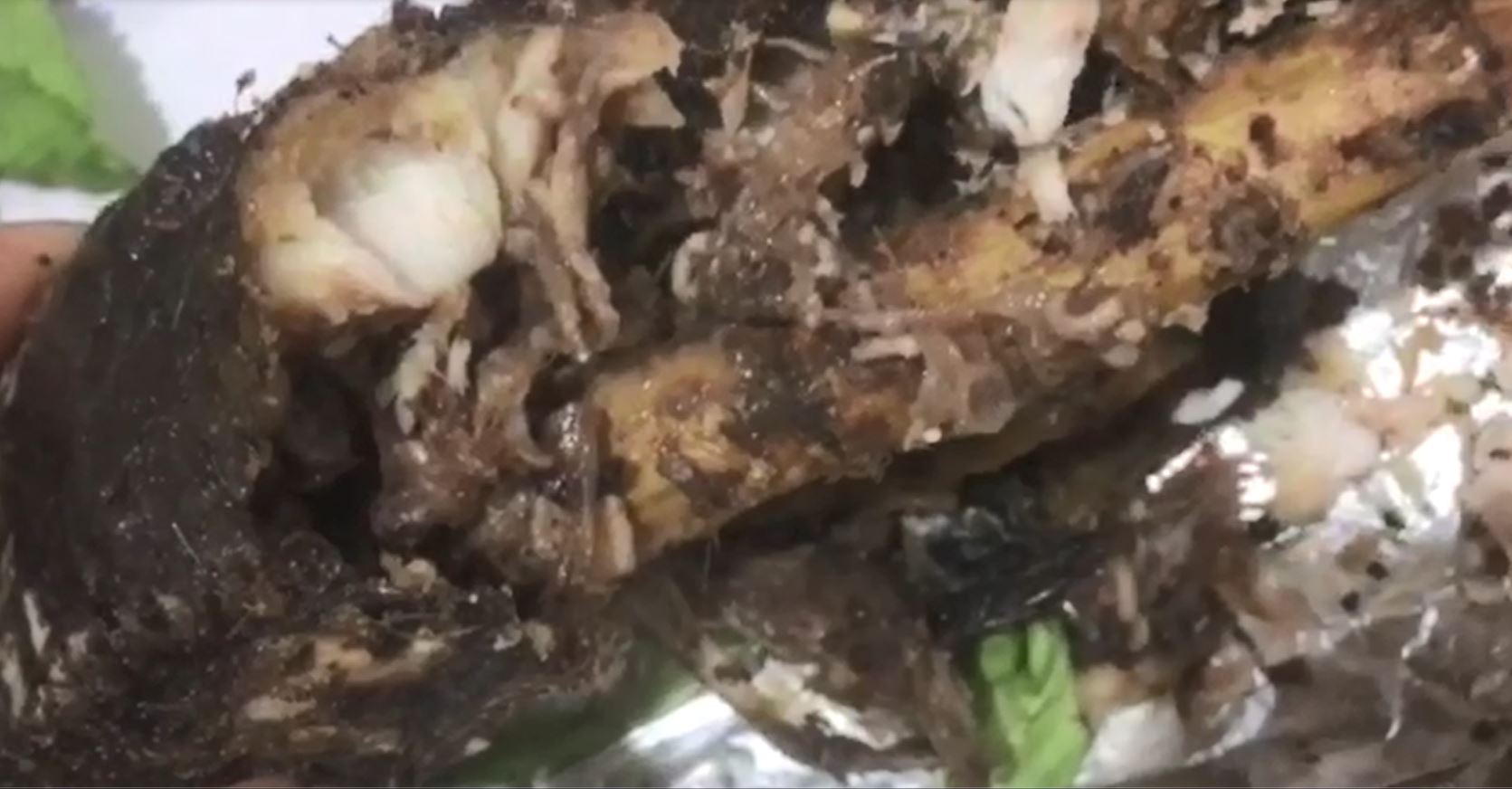 Dòi xuất hiện dày đặc bên trong thực phẩm. Ảnh cắt từ clip