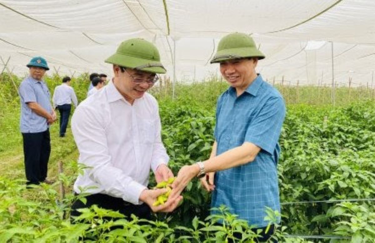 Ông Lê Đức Giang - Phó Chủ tịch UBND tỉnh Thanh Hóa (phải) với sản phẩm nông nghiệp tại huyện Nông Cống. Ảnh: Trần Lâm