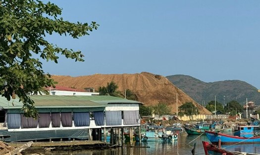 Tỉnh Bình Định yêu cầu xử lý bãi dăm gỗ phát sinh bụi, gây ảnh hưởng dân cư. Ảnh: Hồ Huynh