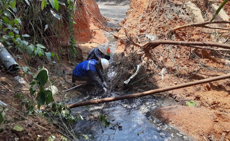 Nước thải ở trang trại lợn xả thẳng ra môi trường. Ảnh: H.Nguyên.