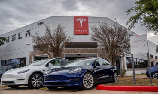 Trong khoảng thời gian thua lỗ, việc bán tín chỉ carbon đã giúp Tesla vượt qua khó khăn. Ảnh: AFP