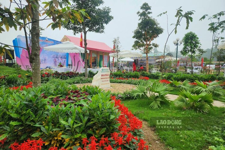 Trại văn hóa của huyện Thanh Ba nằm trong một khuôn viên đa sắc màu cỏ cây, hoa lá. Ảnh: Tô Công.
