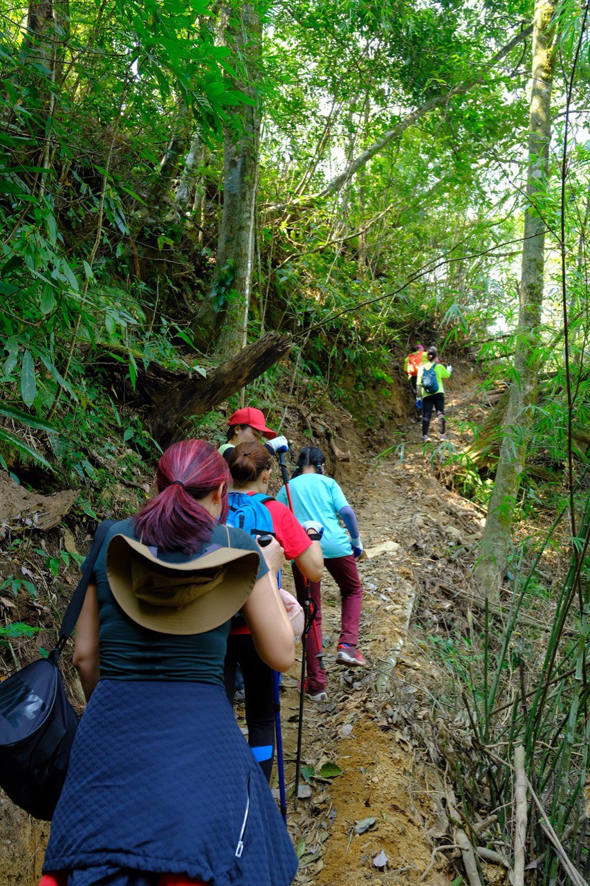 Có những quãng đường leo dốc, thách thức du khách trekking.