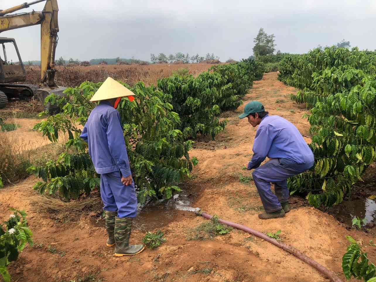 Anh Đinh Văn Nam (xã Hà Mòn, huyện Đăk Hà) bày tỏ: “Tôi và một vài hộ bỏ ra hơn 13 triệu đồng để tự thuê máy xúc, đào hố nước tưới riêng biệt. Đồng thời, tôi tiến hành đào gốc và trữ nước cho hơn 1.100 cây cà phê trong vườn.” Ảnh: Lê Nguyên