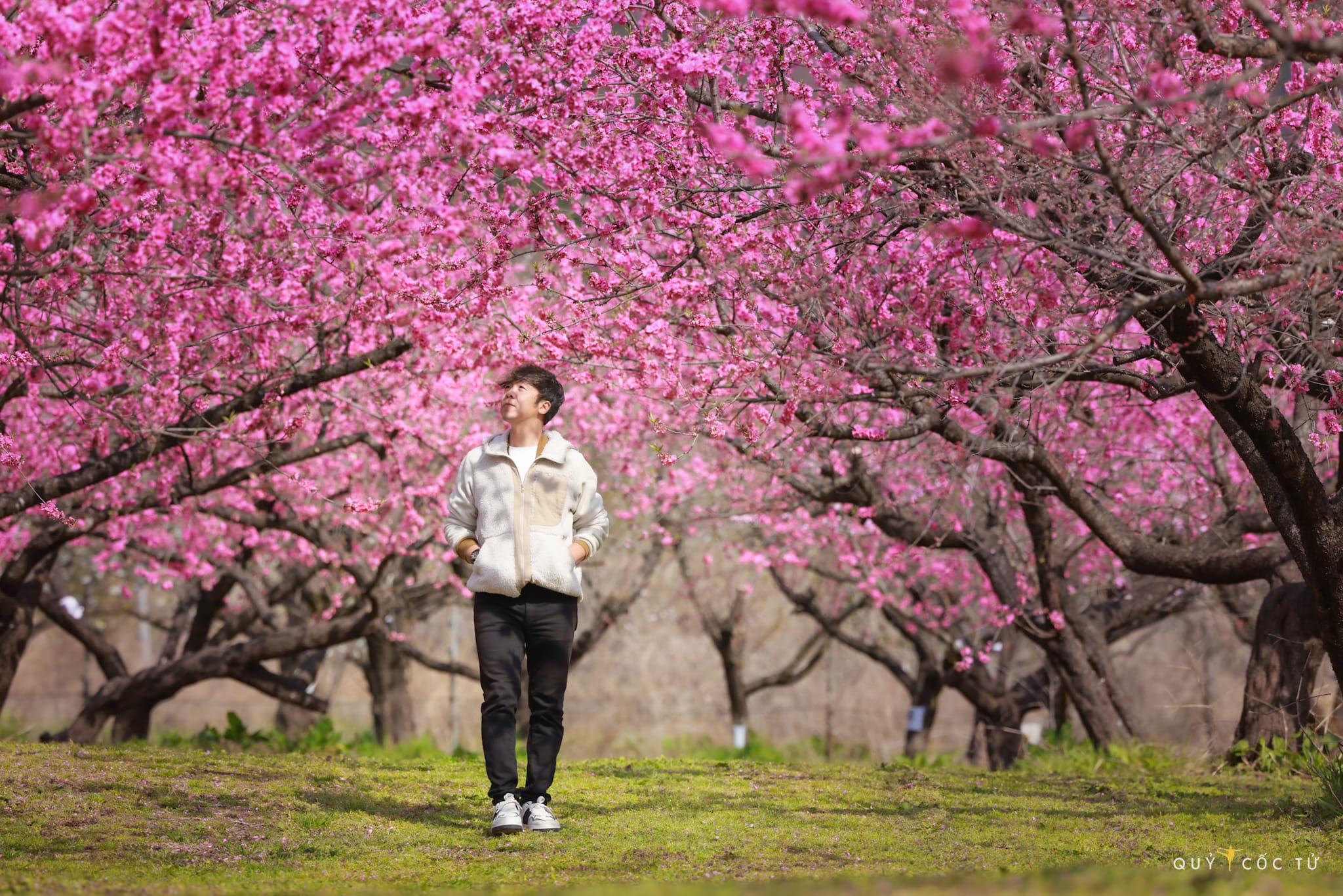Ngô Trần Hải An là tên thật của travel blogger, nhiếp ảnh gia Quỷ Cốc Tử. Những ngày giữa tháng 4 này anh có chuyến khám phá tỉnh Fukushima, tỉnh lớn thứ 3 tại Nhật Bản đúng dịp hoa anh đào nở. 