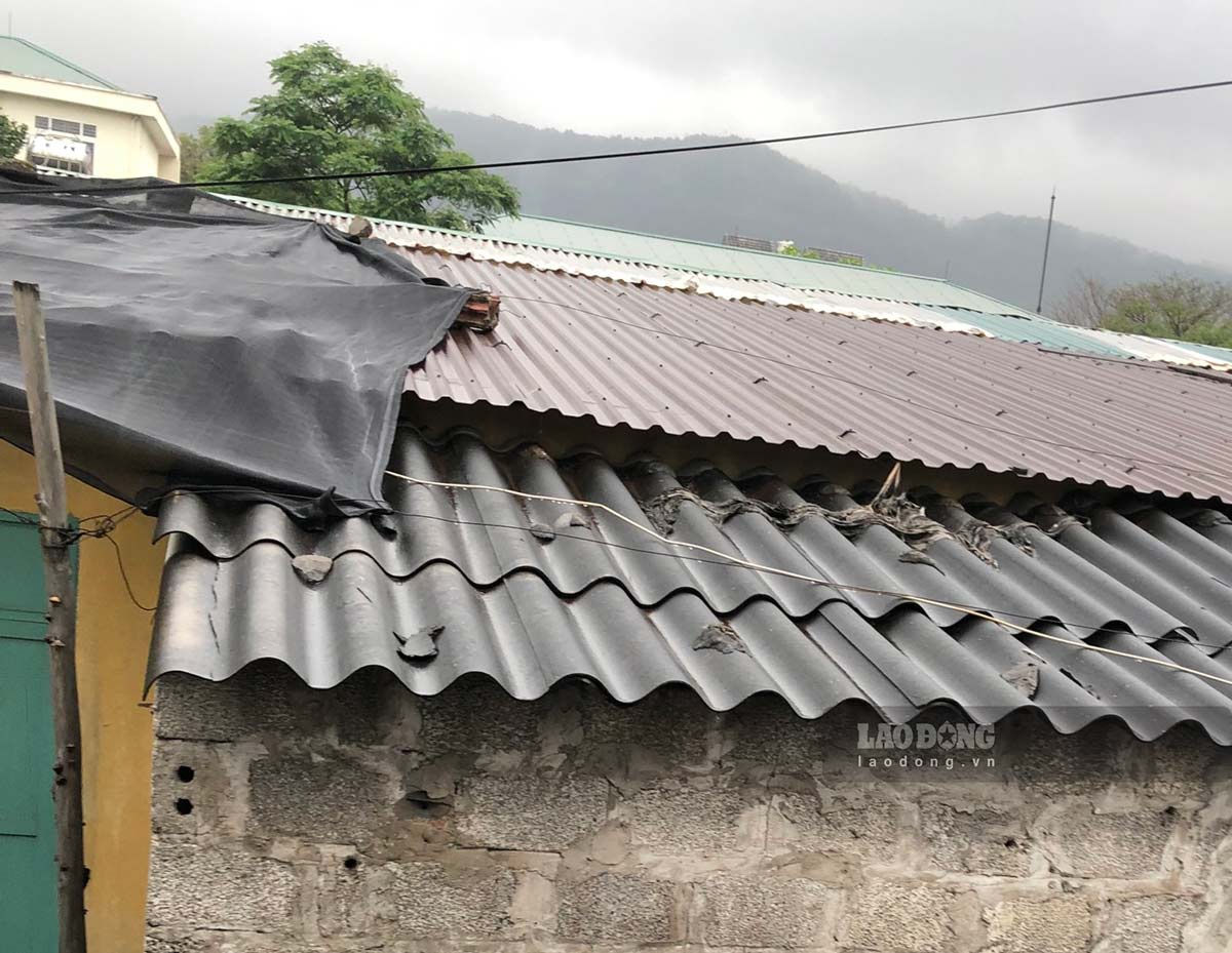 Phần mái tôn của khu nhà tạm cư dột nát, nhiều điểm, người dân phải dùng bạt che mưa.