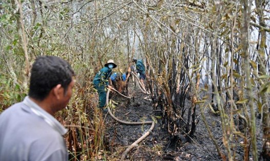 Các lực lượng tham gia chữa cháy rừng ở huyện Giang Thành. Ảnh: Phương Vũ