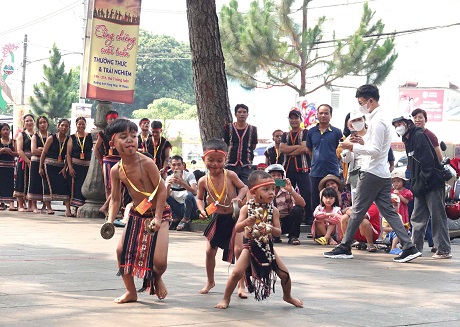 Sôi động ngày hội văn hóa các dân tộc tại Gia Lai