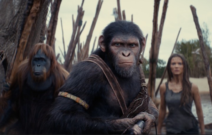 Nhiều phim bom tấn của Disney sẽ ra mắt trong năm 2024. Ảnh: Disney.