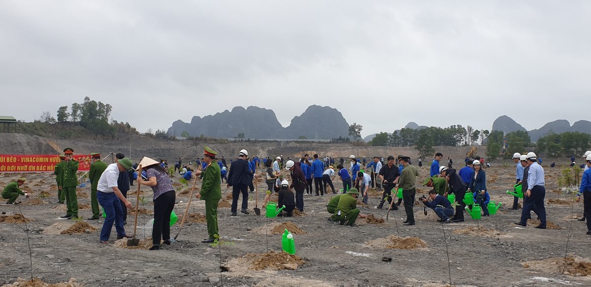 Trồng cây trên bãi thải mỏ tại Công ty CP Than Núi Béo. Ảnh: Nguyễn Hùng