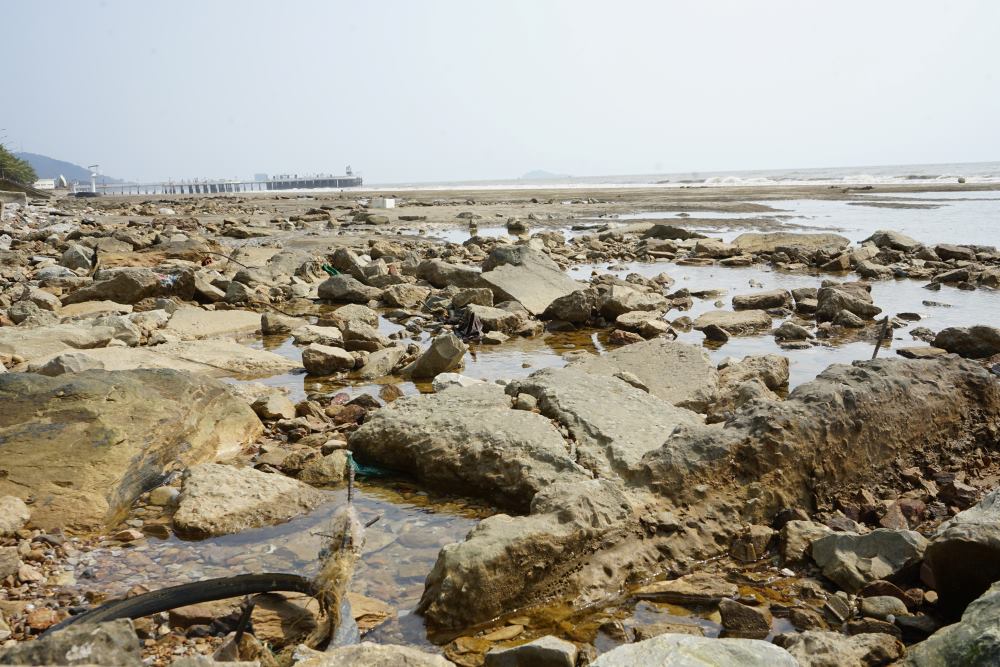 Các bãi đá trải dài dọc bờ biển Hải Tiến, thậm chí nhiều tảng đá có kích thước rất lớn. Ảnh: Quách Du
