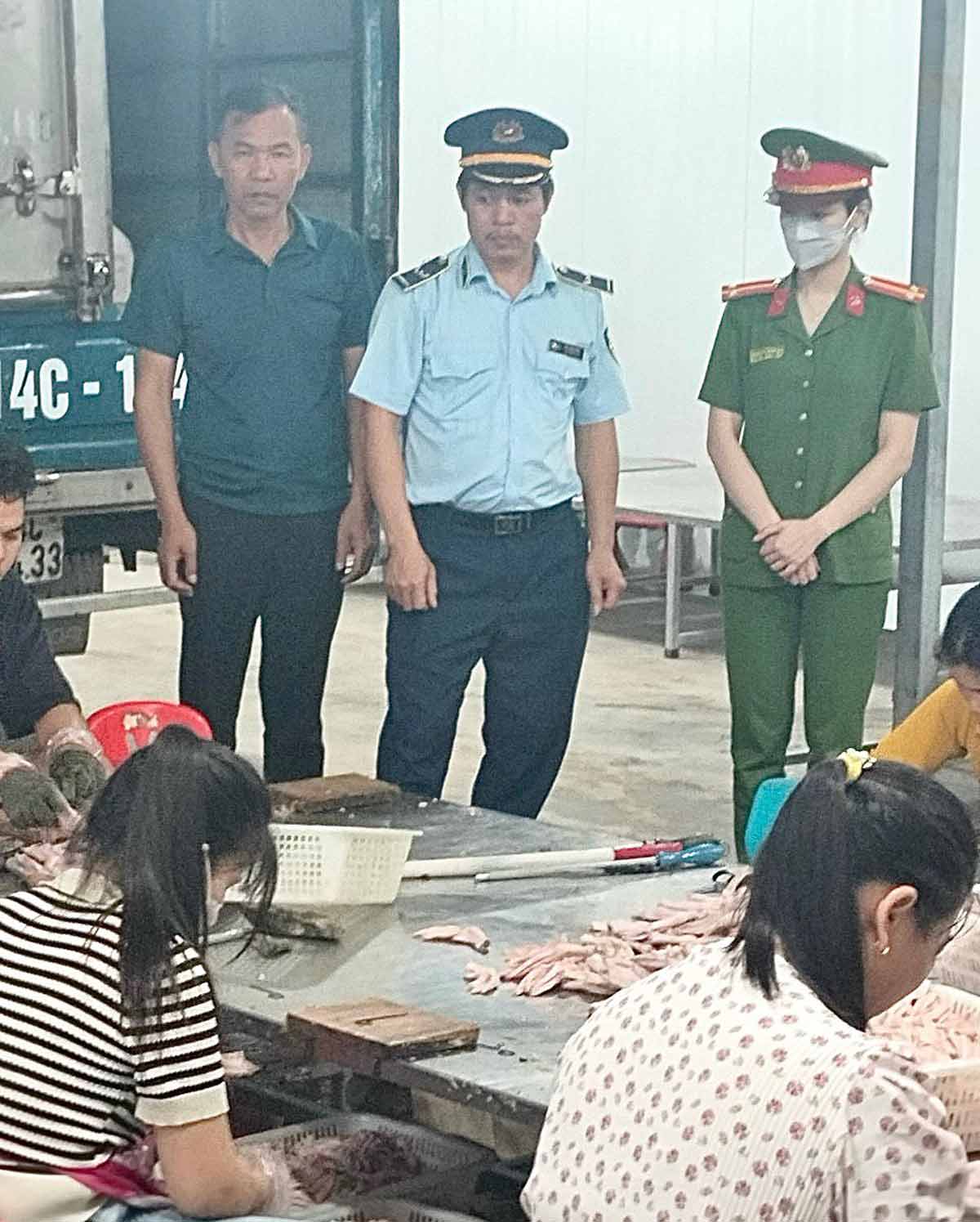 Lực lượng liên ngành kiểm tra cơ sở chế biến chân vịt tại huyện Vân Đồn. Ảnh: QLTT Quảng Ninh