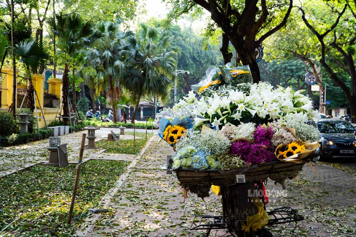 Hà Nội cũng bắt đầu vào mùa hoa loa kèn. Những gánh hoa xuất hiện trên các con phố luôn là một nét đặc trưng, ấn tượng khó phai với mọi người dân cũng như du khách khi đến với nơi này.