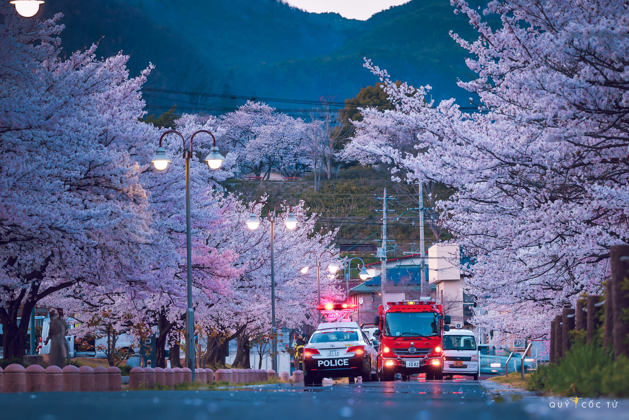 Trong số các tỉnh, Fukushima được đánh giá là địa phương “cô đọng đặc trưng rất Nhật Bản“. Và ngắm hoa anh đào là một trong số những trải nghiệm không thể bỏ qua. Khoảng đầu tháng 4 tới sau đó 2 - 3 tuần, du khách sẽ ngắm được khung cảnh “mãn khai” - hoa anh đào nở rộ và đẹp nhất. 