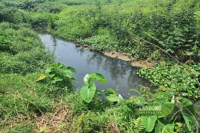 Dòng nước kênh mương từ chiếc cống thuộc địa phận thị trấn Phong Châu chảy về xã An Đạo. Ảnh: Tô Công.