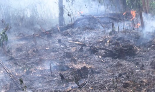 Vụ cháy rừng tại Điện Biên đã thiêu rụi khoảng 600m đường ống dẫn nước khiến hàng nghìn hộ dân thiếu nước sinh hoạt. Ảnh: Người dân cung cấp