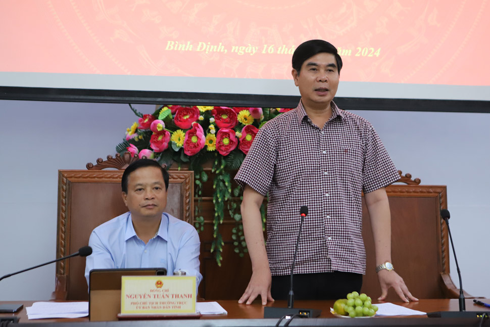 Phó Chủ tịch UBND tỉnh Bình Định Lâm Hải Giang thông tin tại buổi họp báo. Ảnh: Hoài Luân