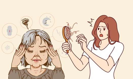 Suy giảm nội tiết tố nữ có thể gây rụng tóc nhiều. Ảnh ghép: HƯƠNG SƠN 
