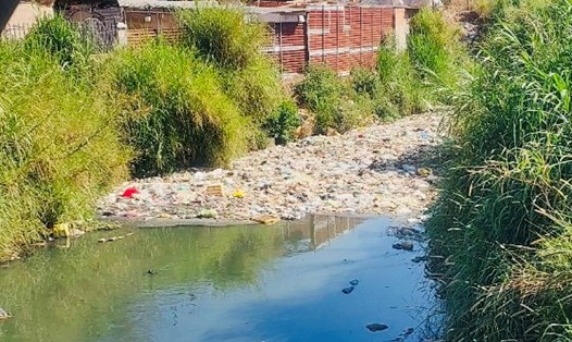 Tình trạng ô nhiễm tại suối Cam Ly, TP Đà Lạt. Ảnh: Mai Hương
