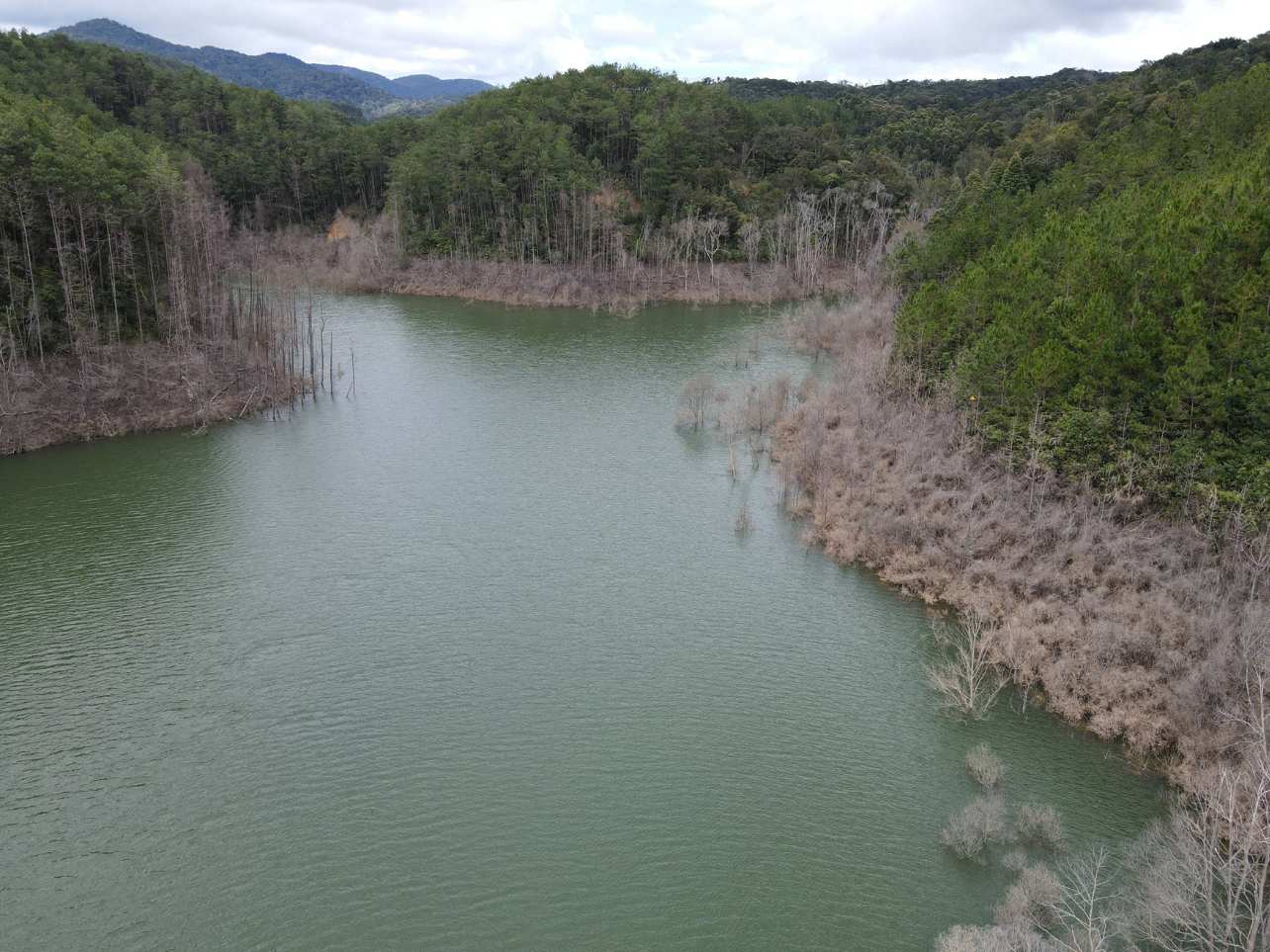 Một phần diện tích rừng liên quan đến  Dự án Thủy điện Thượng Kon Tum bị hư hại. Ảnh: Huyền Nga
