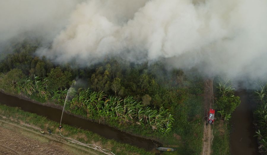 Ngày 10.4 tại Cà Mau xảy ra vụ cháy rừng trồng, rừng tái sinh khiến khoảng 40ha rừng bị thiệt hại nặng nề. Ảnh: Nhật Hồ