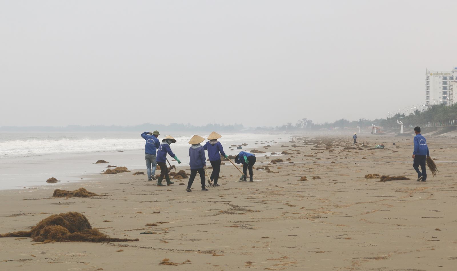 Huy động người đến thu dọn rác trên bãi biển Hải Tiến. Ảnh: Quách Du