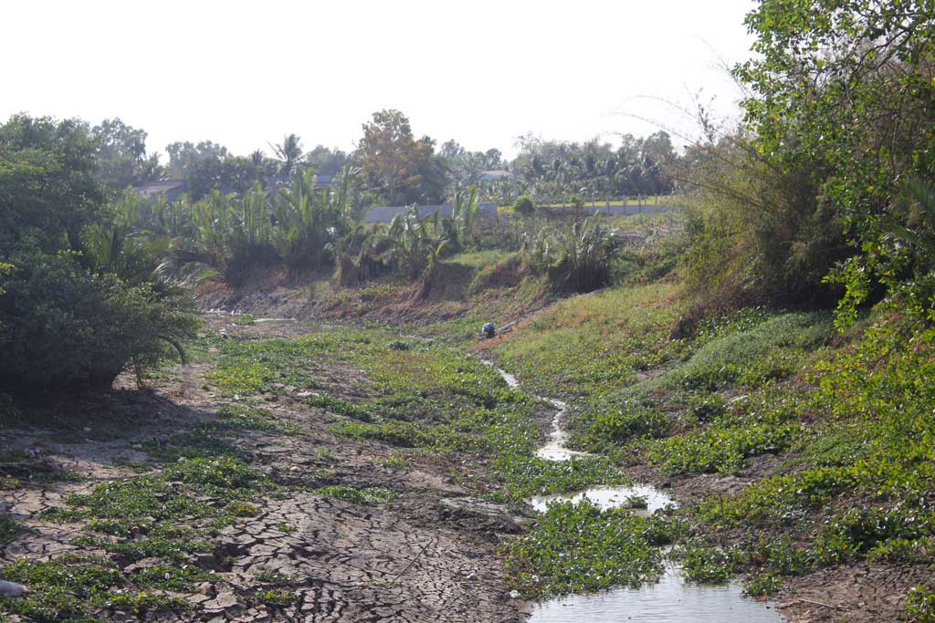 Nhiều dòng kênh nội đồng ở Long An khô cạn dẫn đến thiếu hụt nguồn nước tưới cho cây ăn quả. Ảnh: An Long