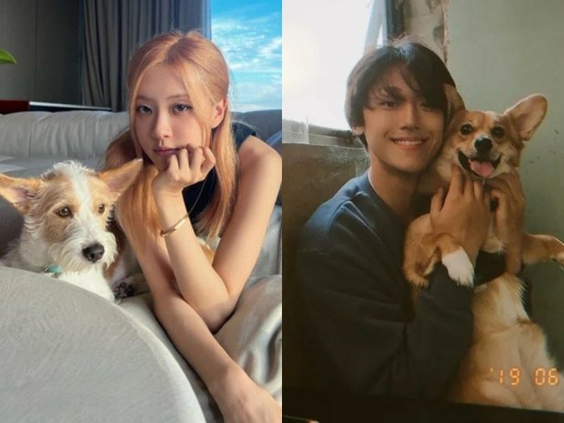 Rosé và Lee Do Hyun nhiều lần khoe cún cưng trên trang cá nhân, thậm chí là chụp ảnh tạp chí. Ảnh: Koreaboo