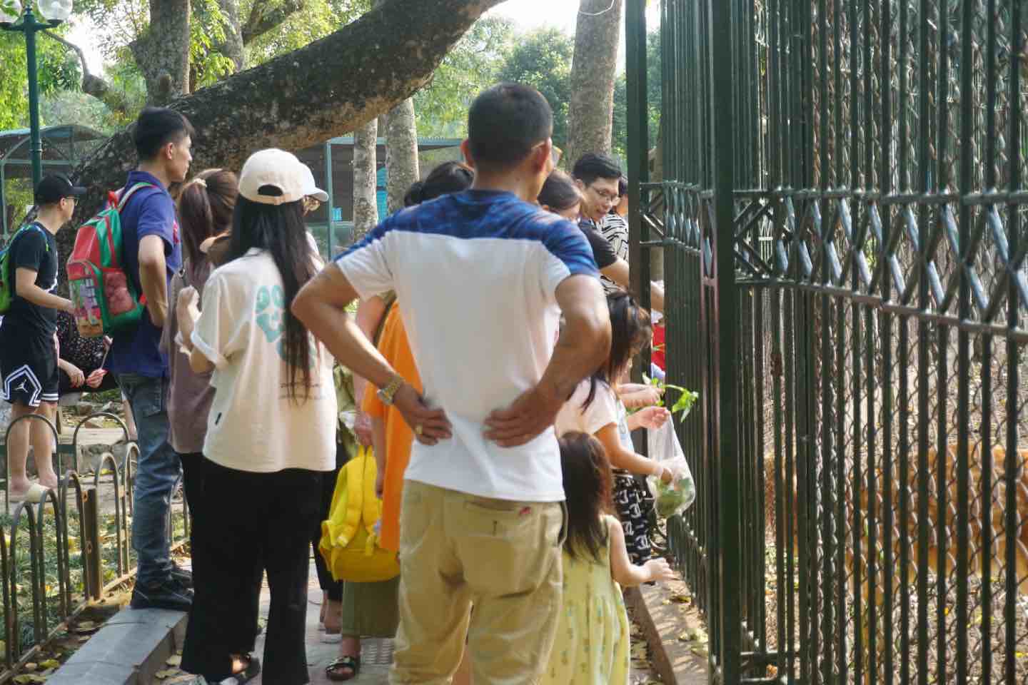 Khu vực các chuồng thú tại công viên Thủ Lệ thu hút được nhiều trẻ em, người lớn. Ảnh: Nhật Minh