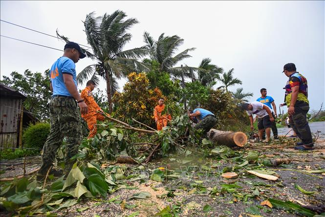 Cảnh sát và lính cứu hỏa dọn dẹp cây đổ do bão Doksuri tại tỉnh Cagayan, Philippines ngày 26.7.2023. Ảnh: TTXVN