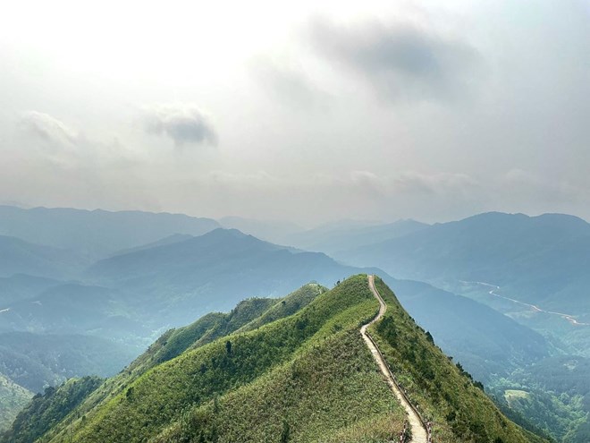 Chinh phục “sống lưng khủng long” ở Bình Liêu