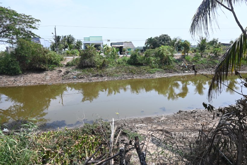 Nước dưới kênh Nguyễn Văn Dõng (xã Tân Điền, huyện Gò Công Đông, tỉnh Tiền Giang) bị nhiễm mặn. Một số người dân thiếu nước đã lấy nguồn nước này để sử dụng. Ảnh: Thành Nhân