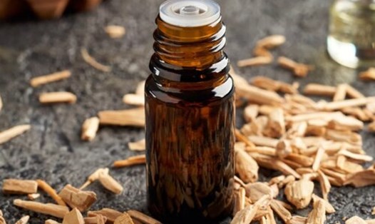 Tinh dầu gỗ thông mang đến nhiều lợi ích sức khoẻ ít người biết. Ảnh: Pixabay