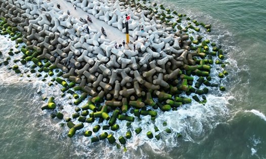 Rêu xanh bám trên những khối bê tông ở bờ kè biển thôn Phổ Trường, xã Nghĩa An, thu hút du khách đến chiêm ngưỡng. Ảnh: Việt Hoàng