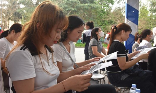 Người lao động tại Bắc Ninh tìm kiếm thông tin tại ngày hội việc làm được tổ chức vào ngày 31.3. Ảnh: Mai Quý