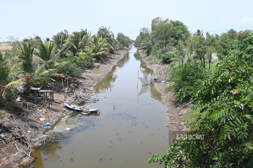 Những ngày đầu tháng 4, theo ghi nhận của phóng viên Báo Lao Động tại các con kênh ở trên địa bàn xã Tân Điền (huyện Gò Công, tỉnh Tiền Giang) đã bắt đầu cạn kiệt, nguồn nước dưới kênh bị nhiễm mặn.