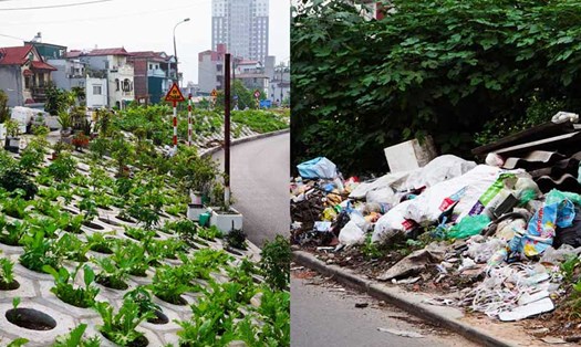 Khung cảnh đối lập: bãi rác - vườn rau trên một con đê ở Hà Nội