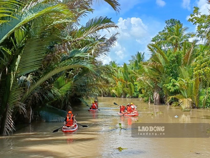 Du khách sẽ di chuyển vào rạch nhỏ chèo xuồng tận hưởng không khí trong lành ở xứ dừa Bến Tre.