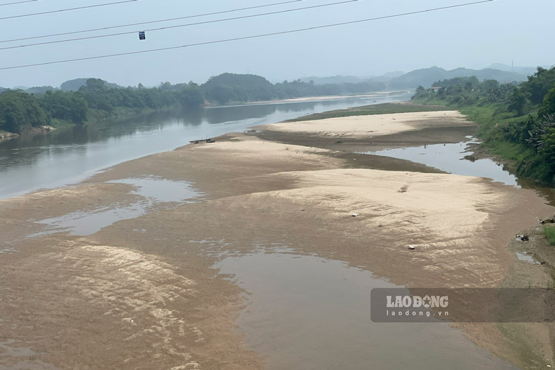 Ghi nhận vào những ngày cuối tháng 4, sông Hồng đoạn chảy qua địa phận xã Minh Quân đã cạn trơ đáy. Ảnh: Đinh Đại