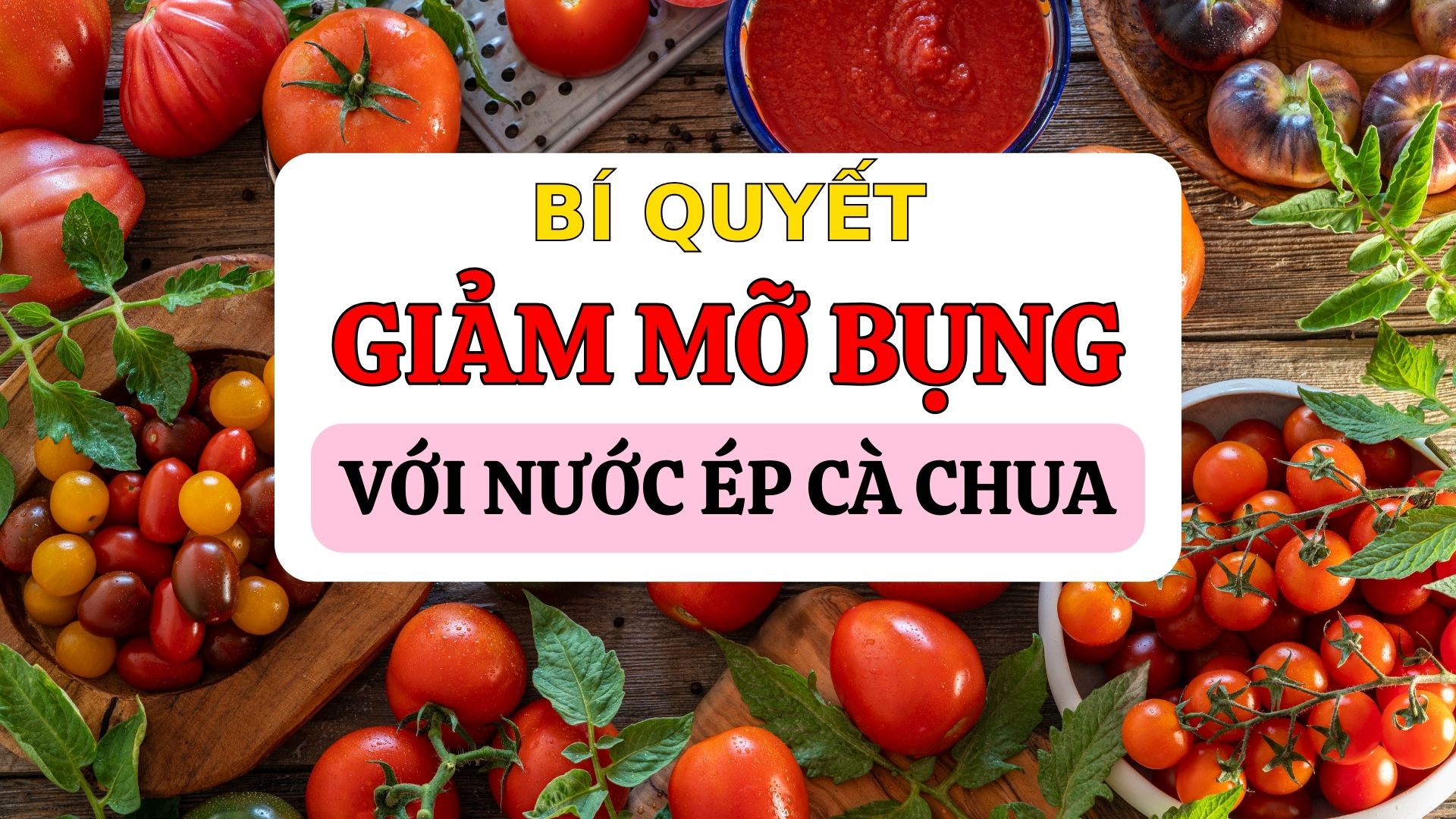 Đồ hoạ: Thạch Lam 