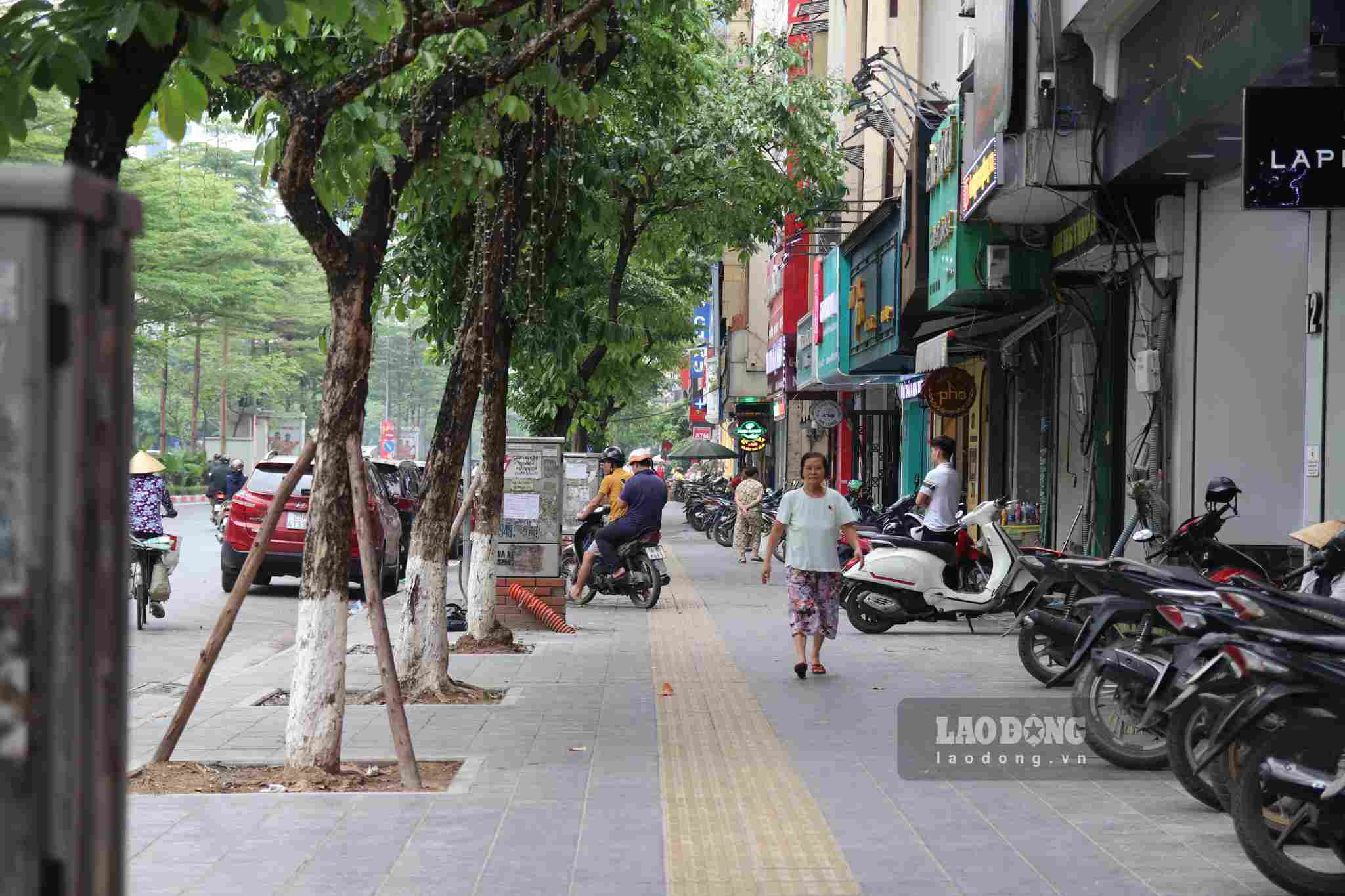   Phố Trần Thái Tông (Cầu Giấy, Hà Nội) có độ dài khoảng 1km. Đây là tuyến phố thường xuyên có nhiều phương tiện qua lại, đông dân cư và nhiều cửa hàng kinh doanh, buôn bán.