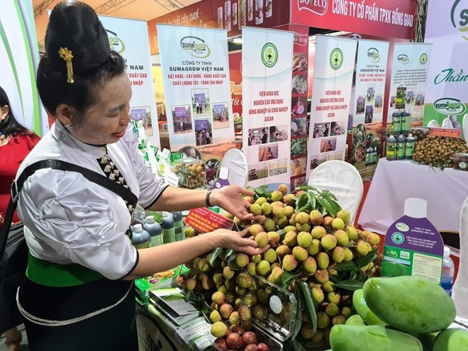 Khoảng 2% số hợp tác xã tiếp cận được vốn các tổ chức tín dụng