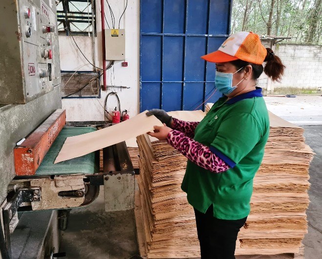 Mức thuế chống bán phá giá mới sắp công bố sẽ khiến nhiều doanh nghiệp xuất khẩu gỗ dán gặp khó khăn. Ảnh: Vũ Long 