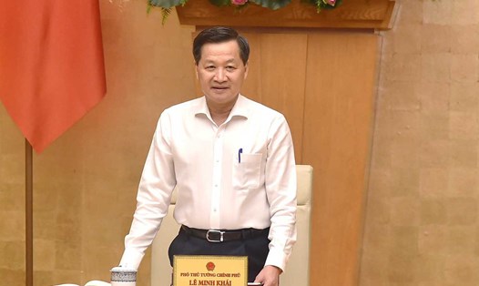 Phó Thủ tướng Chính phủ Lê Minh Khái phát biểu tại cuộc họp. Ảnh: VGP